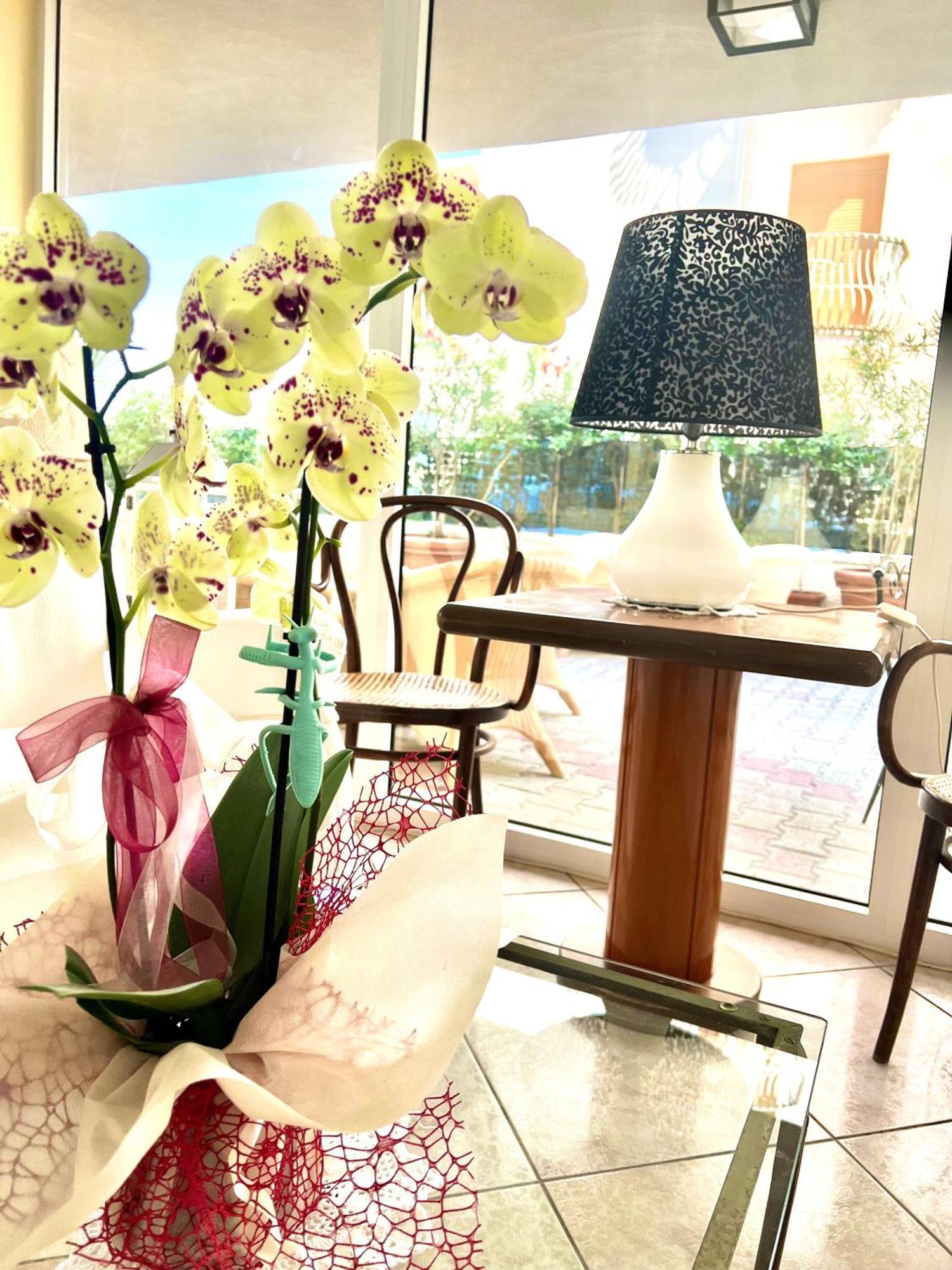 Hotel B&B Montecarlo Milano Marittima Kültér fotó